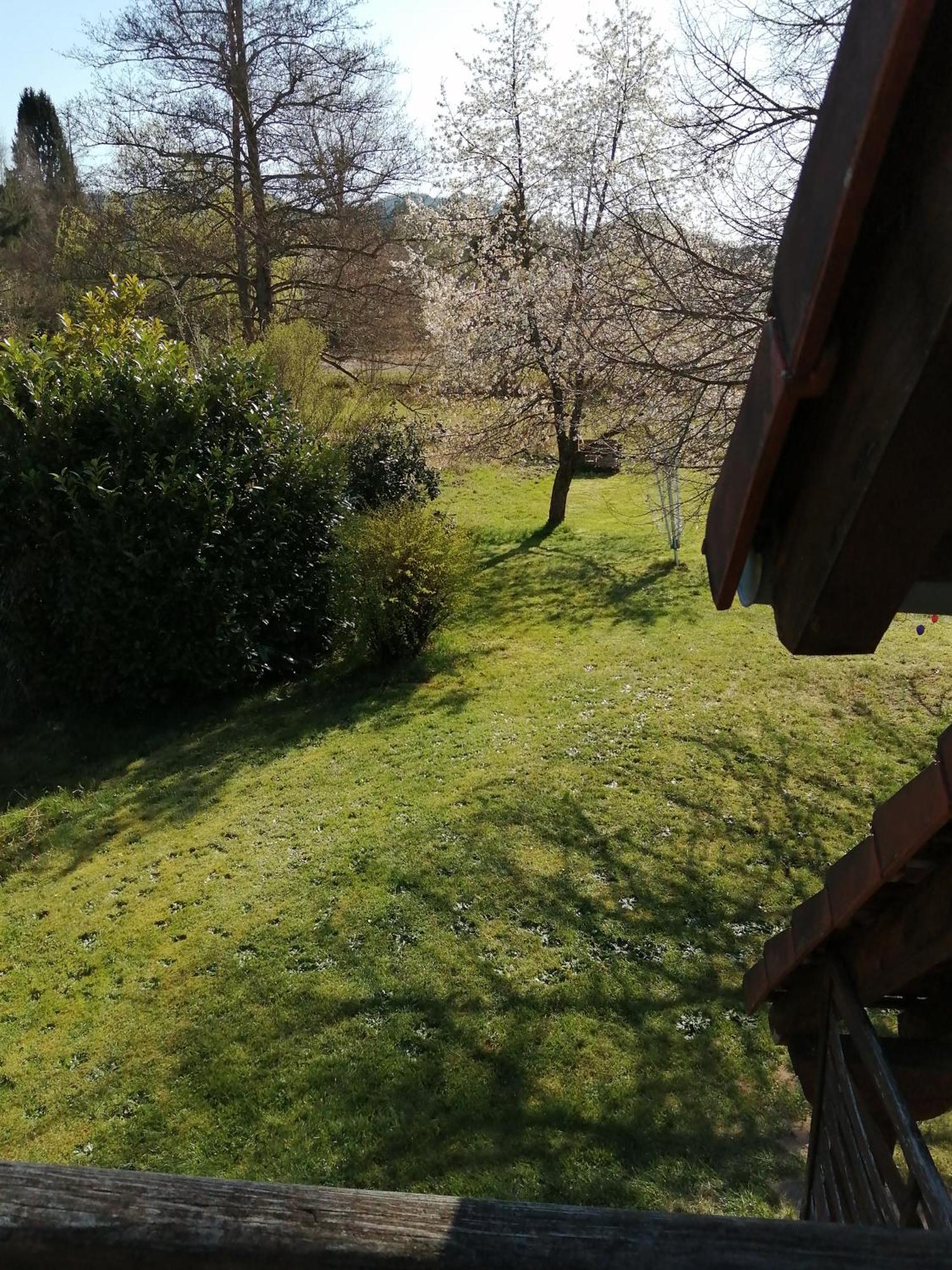Gite 1 Etage Dambach Bagian luar foto